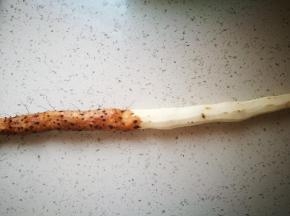 铁棍山药洗净去皮