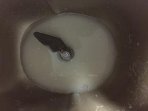 首先来制作液种：酵母粉用温水化开，倒入面包粉