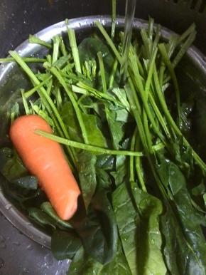 准备材料，菠菜清理干净，用清水泡一会