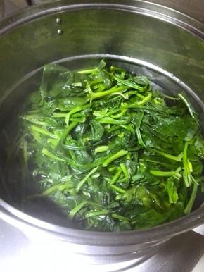 洗净的菠菜入开水锅中，焯水