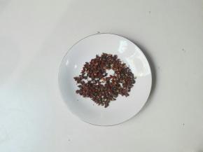 准备5克花椒