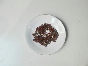 准备5克花椒