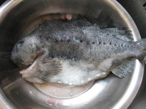 海参斑鱼就是这样子的，比较丑，个头比较大，一条有3斤以上