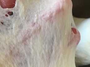 揉至扩展状态