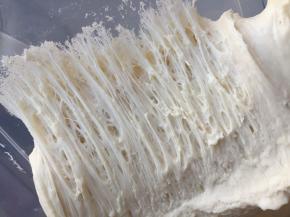 检查中种面团发酵情况，扒开面团内部呈蜂窝状