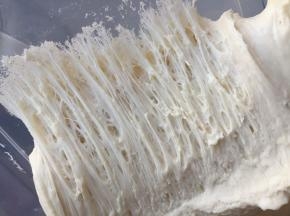 检查中种面团发酵情况，扒开面团内部呈蜂窝状