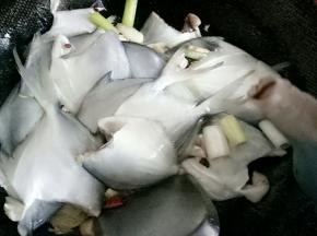 放老抽少许