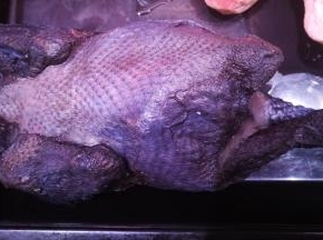 超市买的乌骨鸡，让别人剁好，鸡腿留完整的