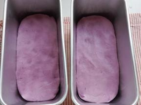 面团分成2个，放入模具中