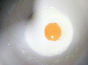 放一个蛋黄