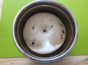 发酵好的面团用手指沾一点面粉戳一下，面团不会回缩即可