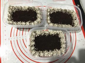 在接着一层蛋糕片，四周挤咸奶油，中间撒奥利奥饼干碎，奥利奥咸奶油盒子就做好了。