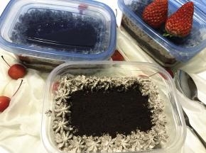 盖好盒盖，放冰箱冷藏2小时，口味更佳。