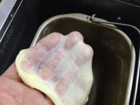 揉至面团出筋，放入温暖湿润处发酵至两倍大