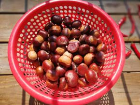 放太阳底下晾干，或者用纸巾擦干都行。个人感觉水份风干或晒干更容易使外壳和内片分开。