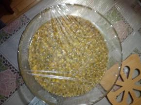 加入冰糖拌匀后密封放冰箱冷藏2-3小时。