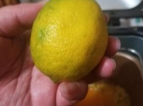 准备一个柠檬洗净，捏出果汁。