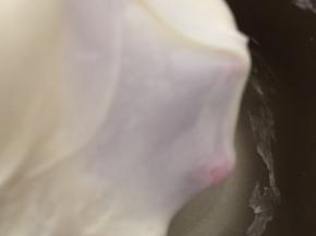 直到出膜