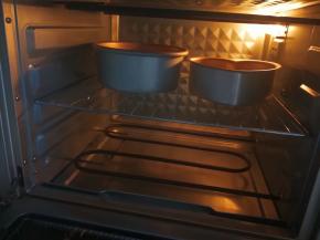 烤箱设定温度，上下管160℃，中层，40分钟，启动烤箱。也可以放在下面倒数第二层防止蛋糕长高沾在发热管上，我家烤箱是自动预热，预热完成后会有滴声提示，烤箱温度大家根据自家烤箱温度自行调整。

拌匀的蛋糕糊从较高处倒入模具中，倒完后轻轻左右晃动模具，再将模具从高处摔下两三次，震出气泡，这样成品气泡会比较少噢。将模具送入预热好的烤箱开始烘烤。把握不好的，可以在模具外面包上锡纸，这样温度受热更稳定。