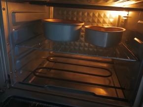烤箱设定温度，上下管160℃，中层，40分钟，启动烤箱。也可以放在下面倒数第二层防止蛋糕长高沾在发热管上，我家烤箱是自动预热，预热完成后会有滴声提示，烤箱温度大家根据自家烤箱温度自行调整。

拌匀的蛋糕糊从较高处倒入模具中，倒完后轻轻左右晃动模具，再将模具从高处摔下两三次，震出气泡，这样成品气泡会比较少噢。将模具送入预热好的烤箱开始烘烤。把握不好的，可以在模具外面包上锡纸，这样温度受热更稳定。
