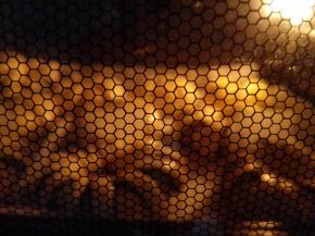 9.	烤箱预热，上下火，中层，170度，烤35分钟左右，