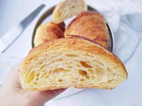 看看组织，不错吧?