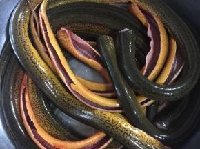 依次处理好所有的黄鳝，再清洗干净！