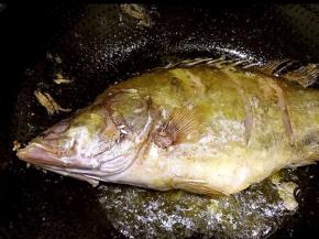 鱼下锅，两面煎黄