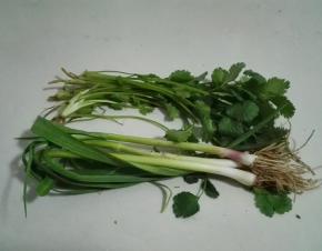 青蒜香菜洗净
