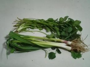 青蒜香菜洗净
