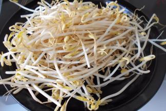 豆芽洗净备用。