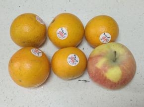准备好材料