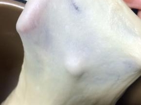 手套膜的样子
