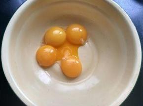 蛋黄放入另一个盆中。