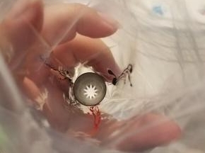 将自己喜欢的裱花嘴装入裱花袋内，然后用画笔把色素刷在裱花袋内壁