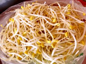 这样的黄豆芽最好吃，有的地方可能买不到，也可以用别的蔬菜代替