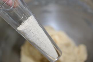 启动厨师机2档3分钟加入酵母再和面2分钟