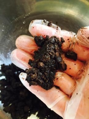 奥利奥碎与融化的黄油搅拌均匀，用手搓充分