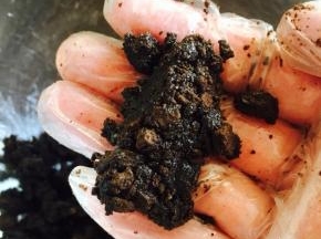 奥利奥碎与融化的黄油搅拌均匀，用手搓充分
