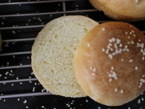 汉堡胚从中间，横着切成一半