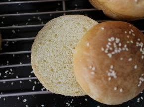 汉堡胚从中间，横着切成一半