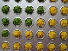 然后将两种口味的都挤在烤盘上，因为我烤盘是不粘的，所以不用垫油纸（烤箱预热160度）