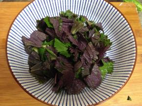 紫苏叶洗净切大块