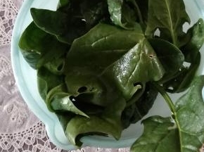 菠菜清洗干净