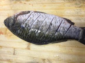 将鲫鱼洗净后去鳞片背部划花刀