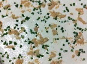 拌好的蛋糕糊倒入铺了油纸或烤垫的金盘内，利用刮刀把表面刮平整，撒上葱花与肉松
