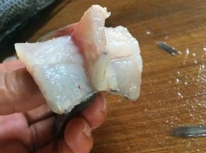 鱼尾贴着鱼骨各切一刀，但不能切断，再把鱼骨切短一点。
