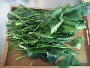 菠菜洗净去根