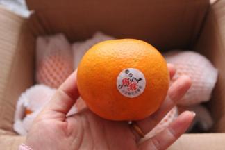 每一个上面都有包装，标识橙子子的产地，这可是最好的富硒橙子哦。