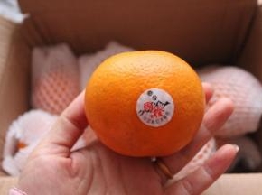 每一个上面都有包装，标识橙子子的产地，这可是最好的富硒橙子哦。